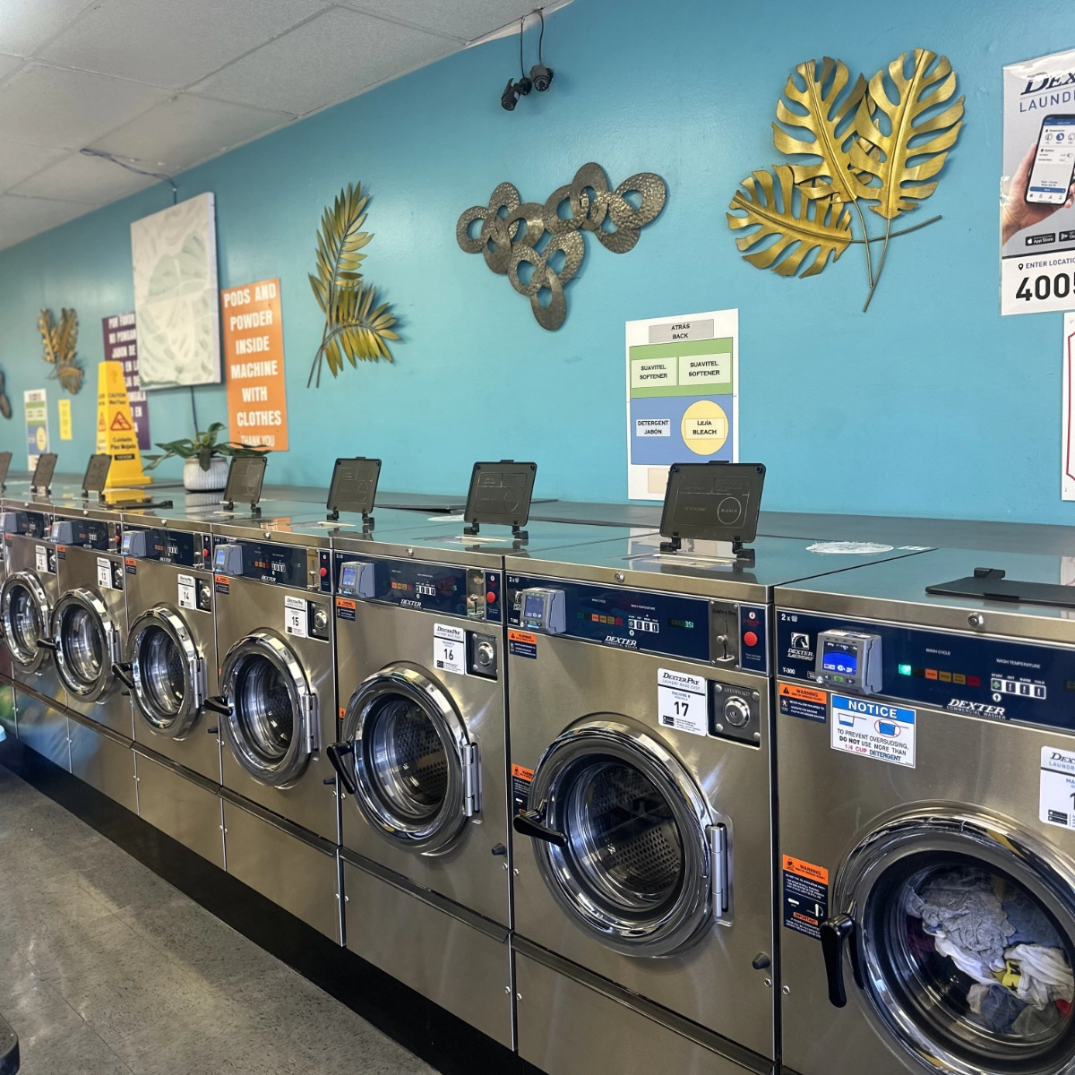 Laundry Day IMG 9275 1200X1200